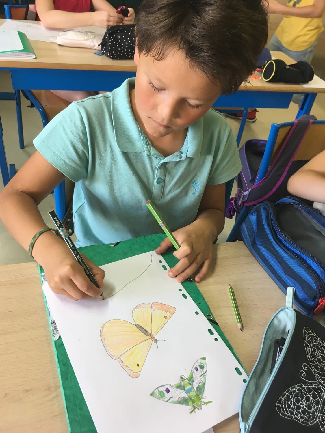 Atelier de dessin sur les papillons réalisé en classe avec des enfants