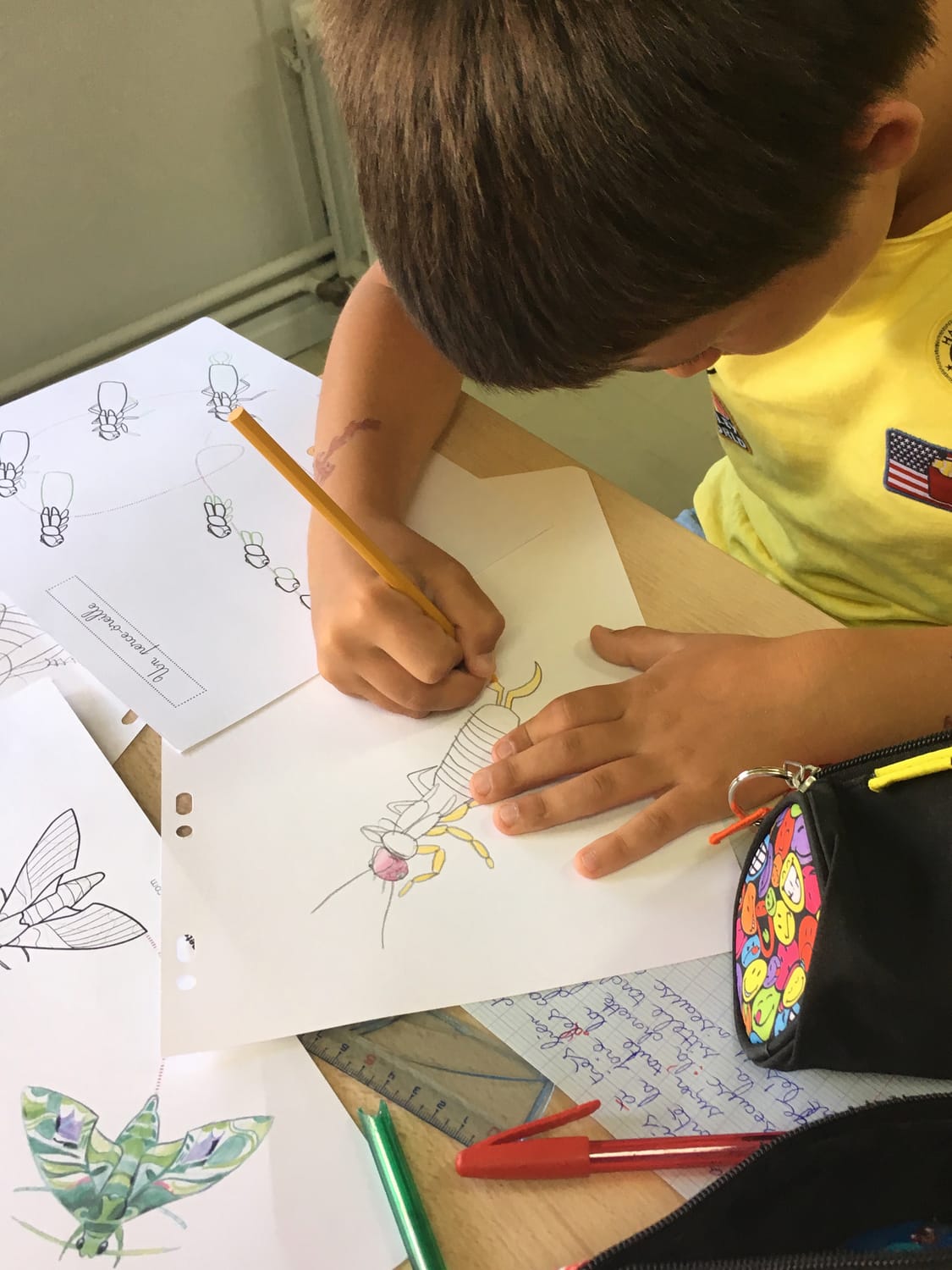 Dessin du perce-oreille réalisé étape par étape