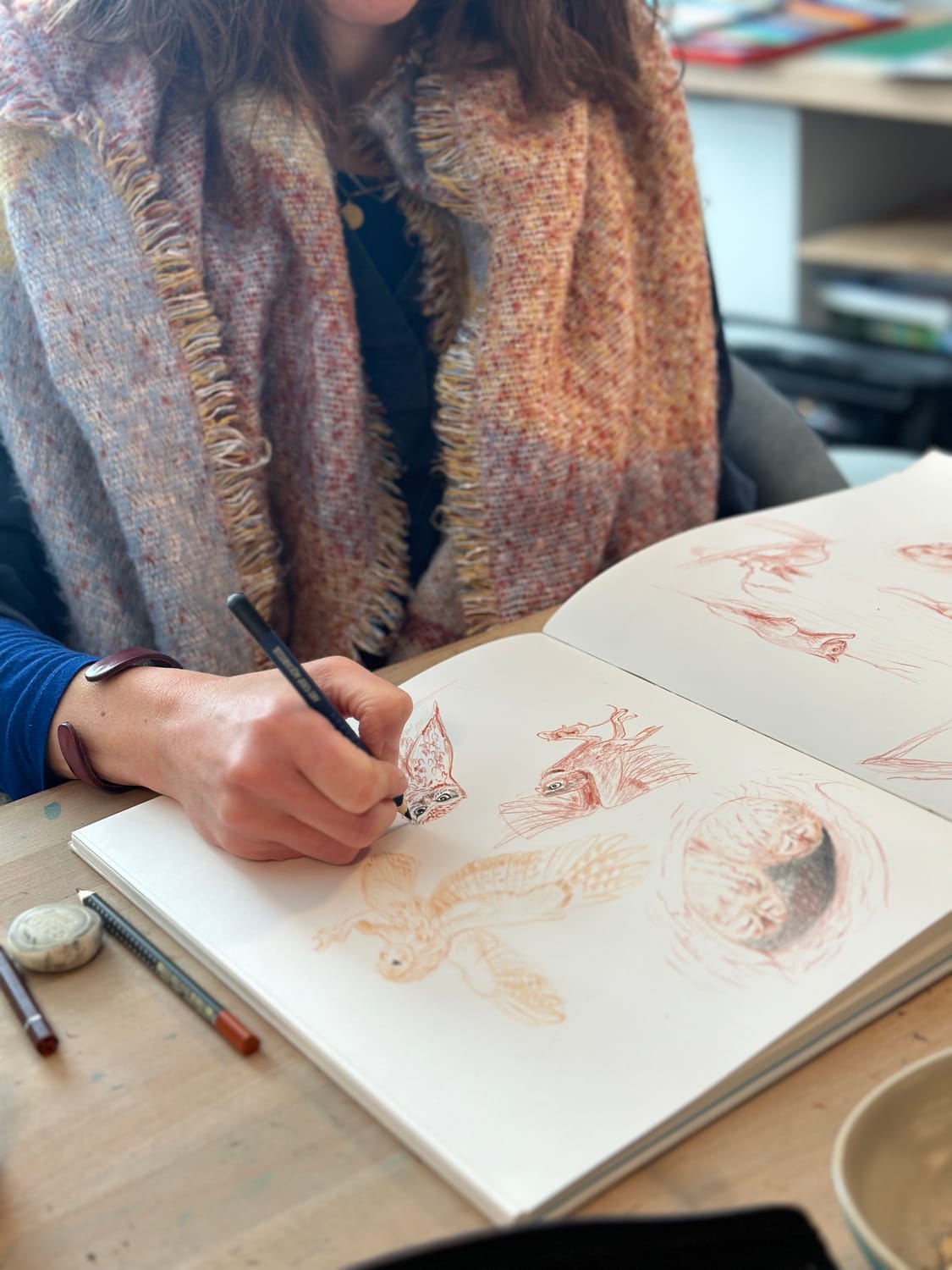 Esquisse de la Chouette hulotte du Calendrier Panoramique