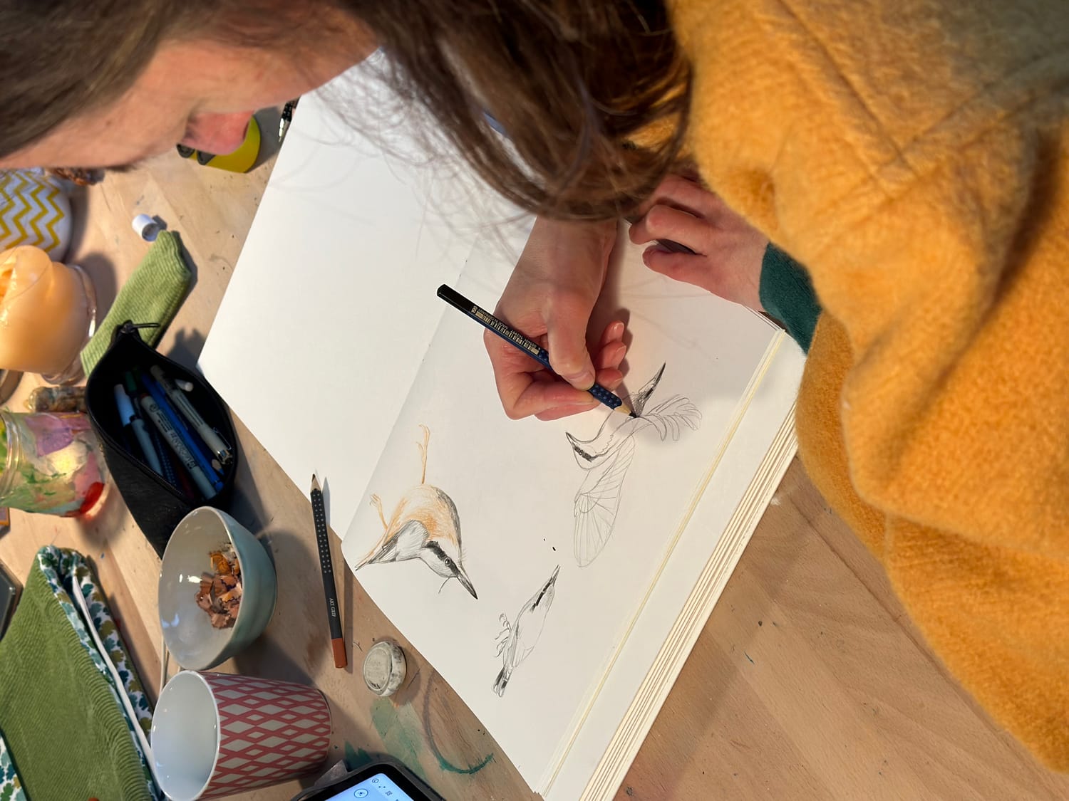 Esquisse de la Sittelle torchepot du Calendrier Panoramique