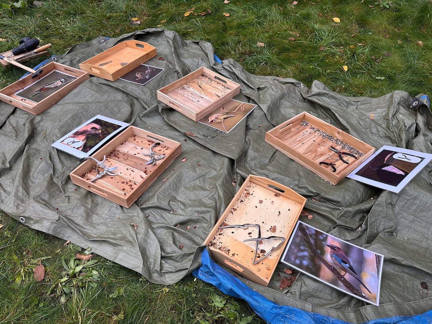 Atelier pratique sur les différents becs des oiseaux