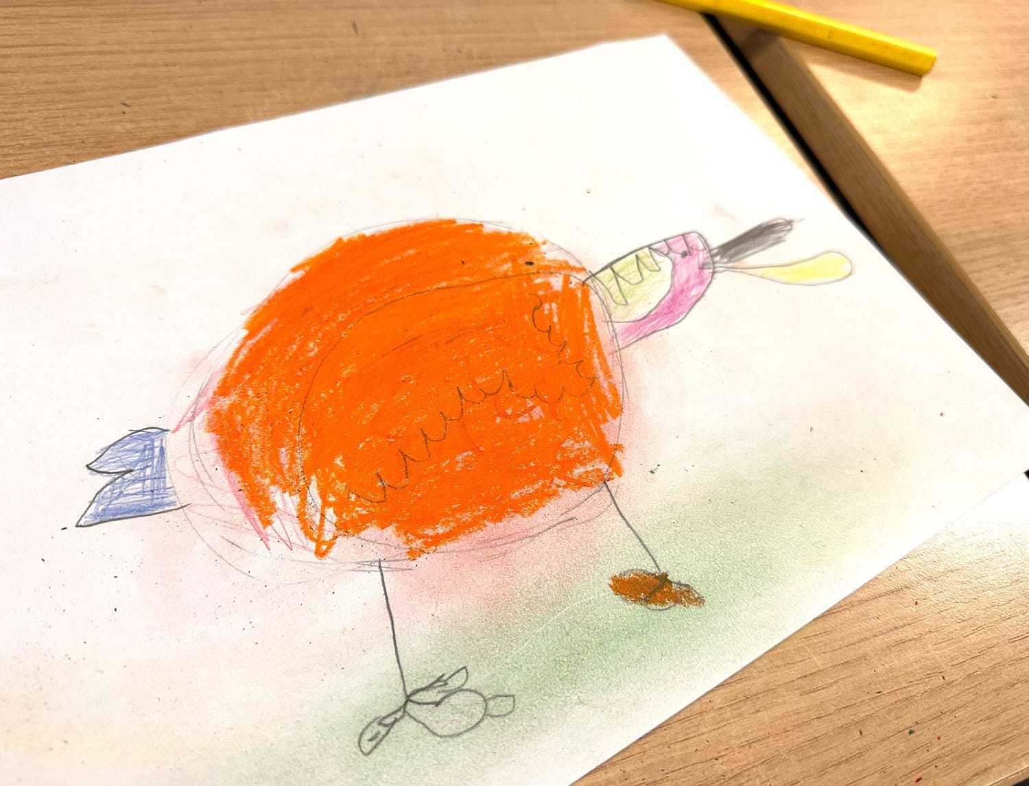 Dessin de la Bécasse des bois en couleurs