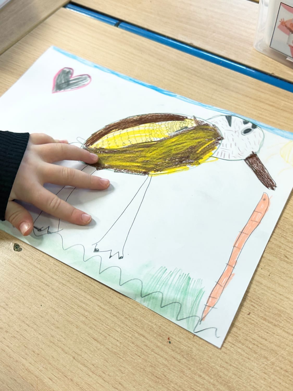 Dessin de la Bécasse des bois avec un ver de terre