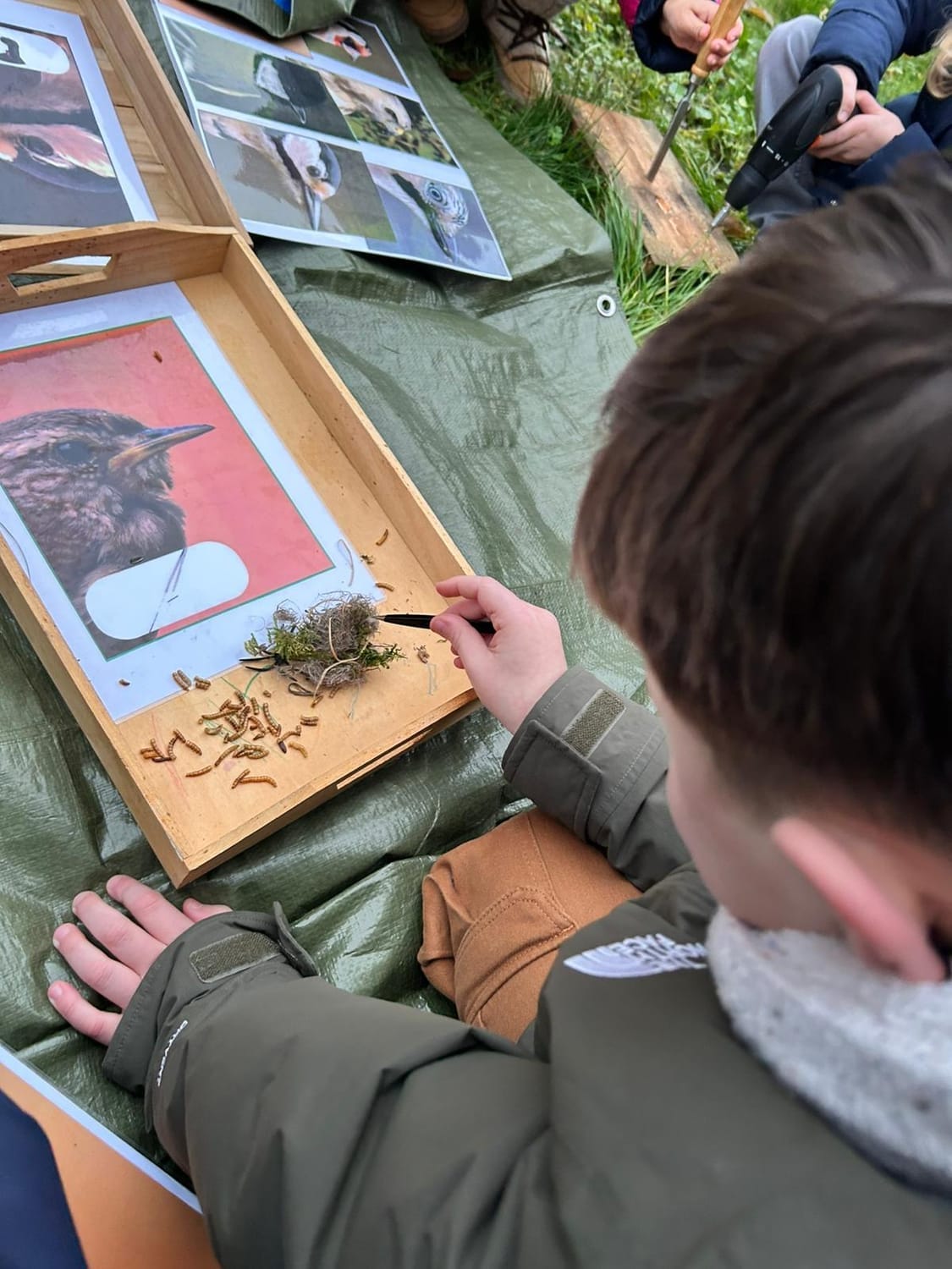 Enfants découvrant les becs et l'alimentation des oiseaux