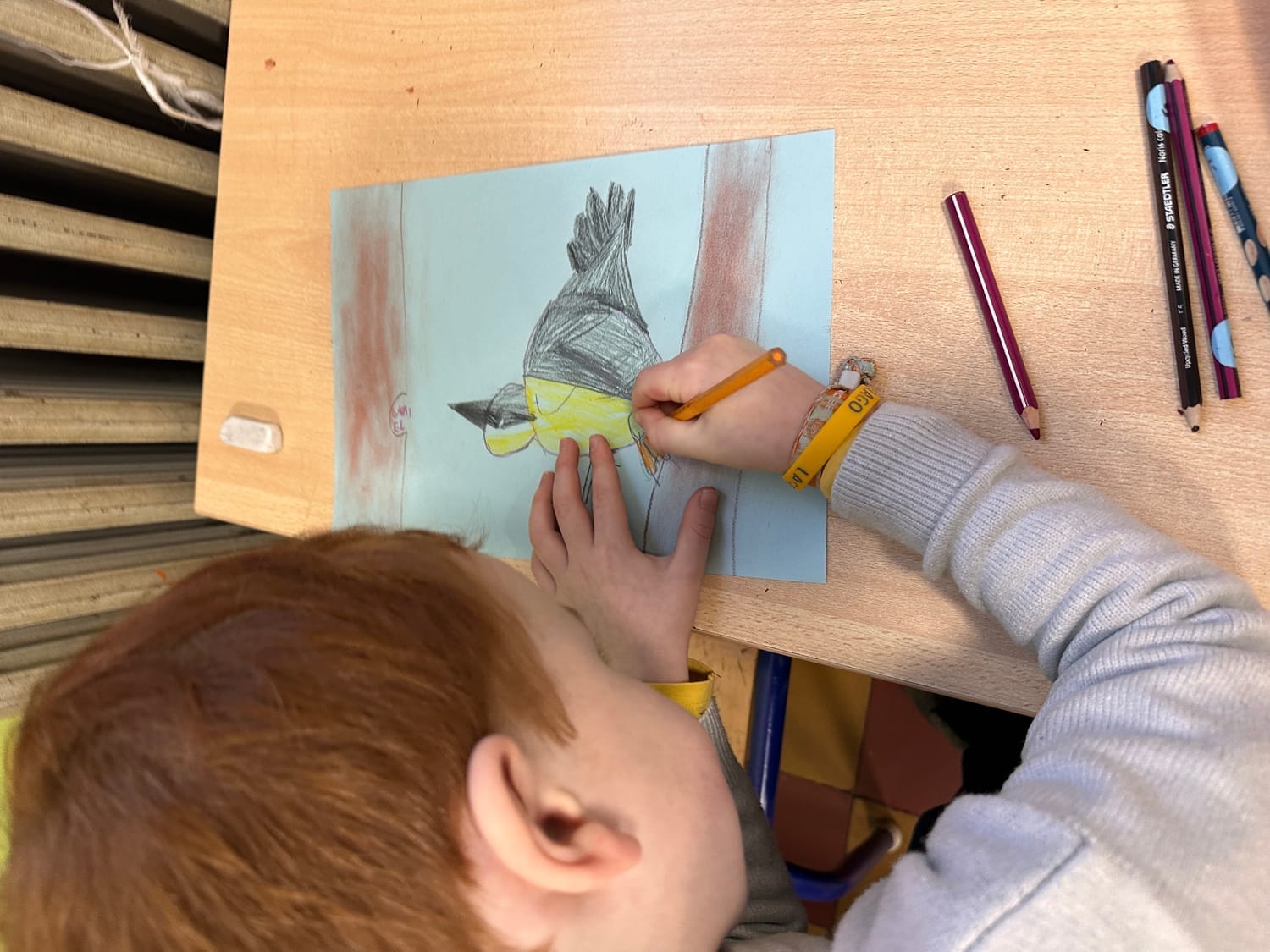 Gabriel concentré et appliqué sur son dessin de sittelle