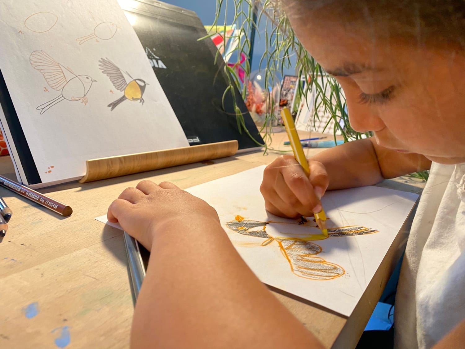 Atelier sur la Mésange charbonnière avec Djenna