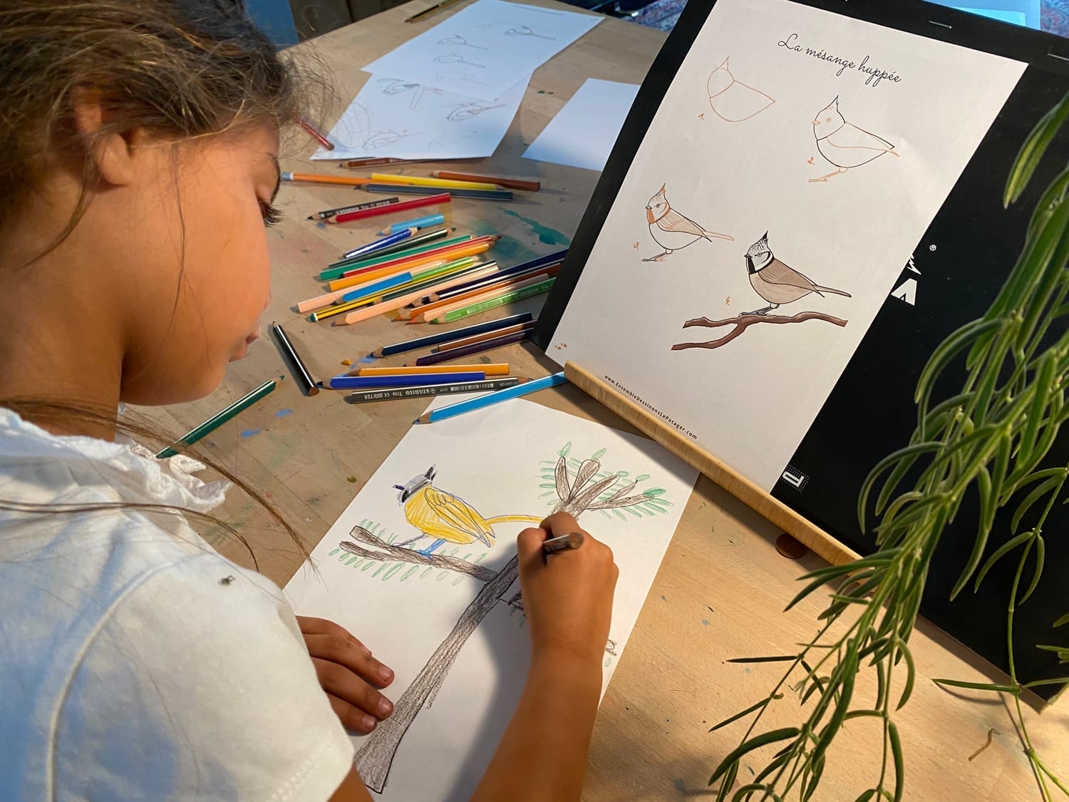 Dessin de la Mésange huppée réalisé lors d'un atelier à la maison