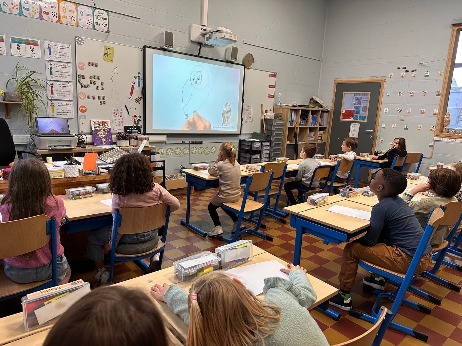Projection du dessin de la Chouette hulotte pendant l'atelier en classe