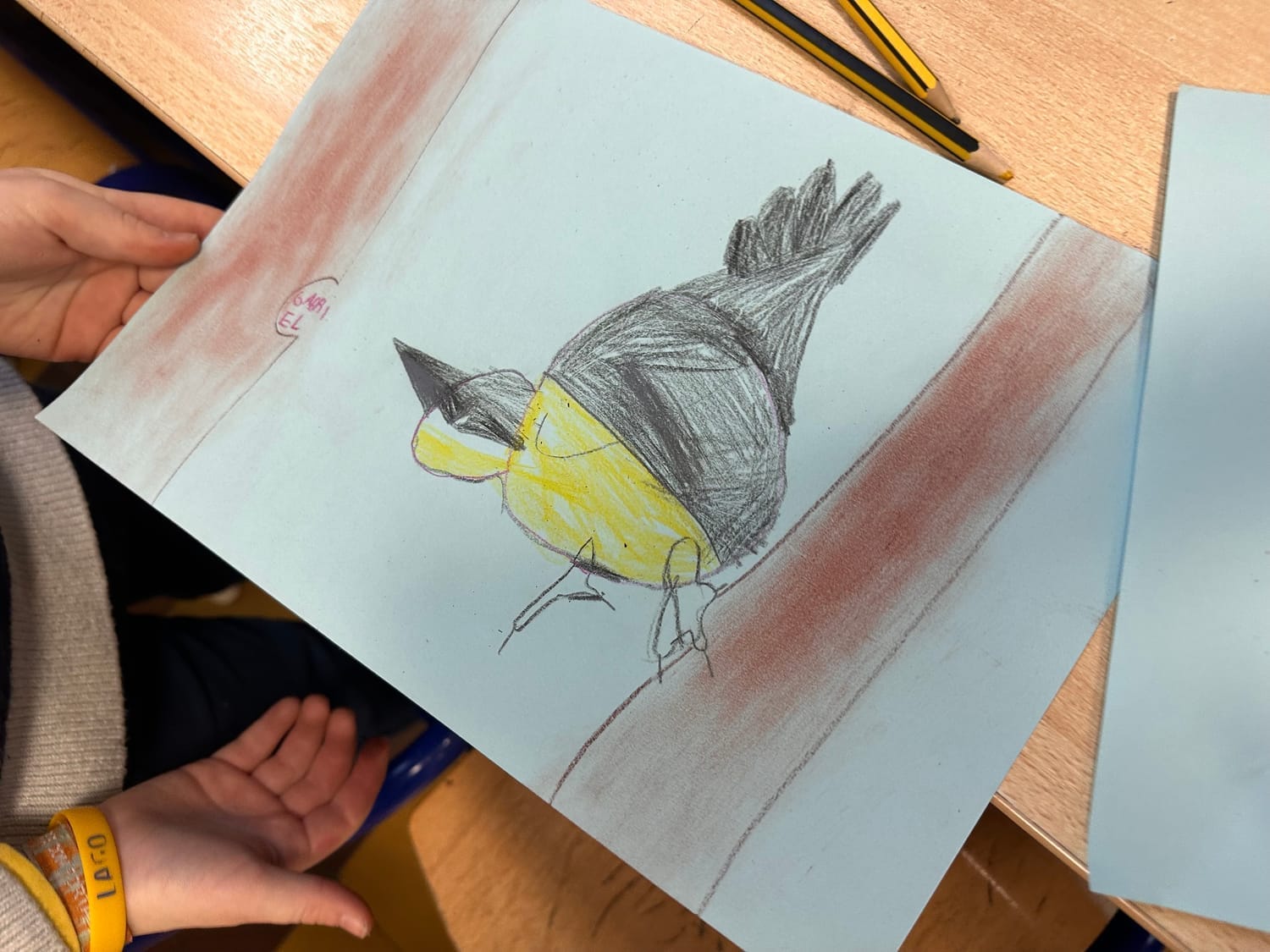 Dessin de la Sittelle torchepot réalisé par Gabriel avec des couleurs vives