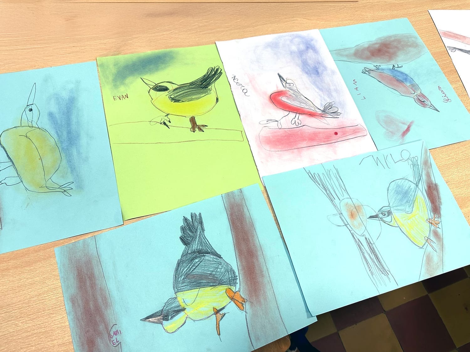 Tous les dessins de Sittelles torchepot réalisés par les enfants de la classe