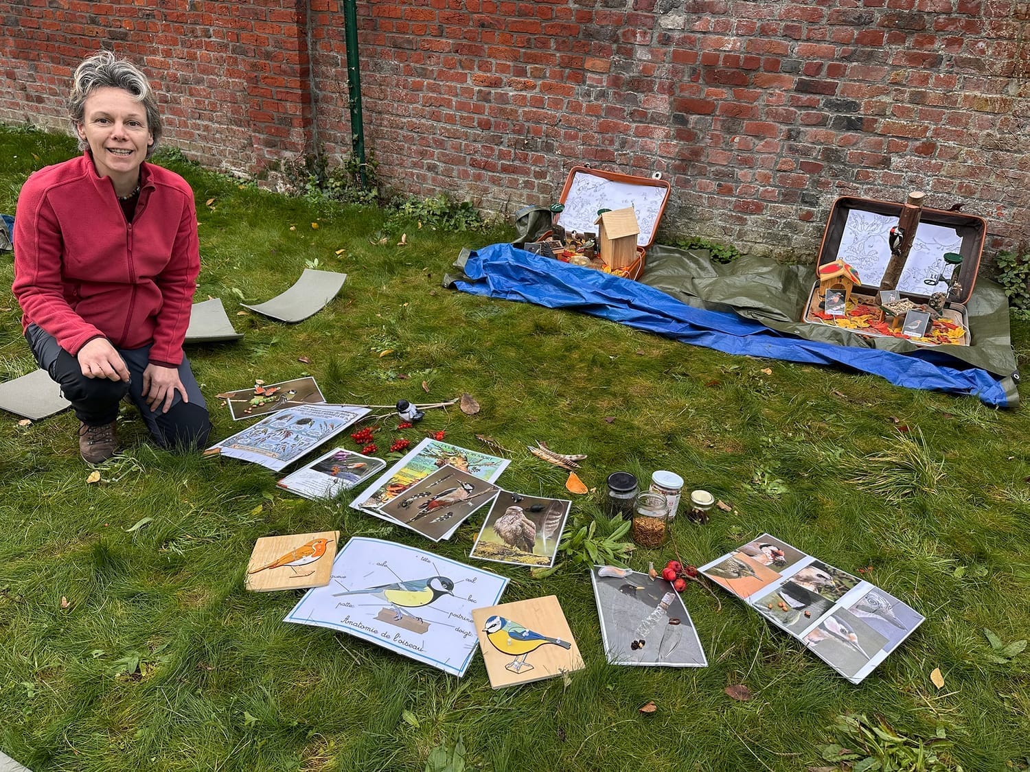 Les valises pédagogiques de Caroline avec du matériel sur les oiseaux