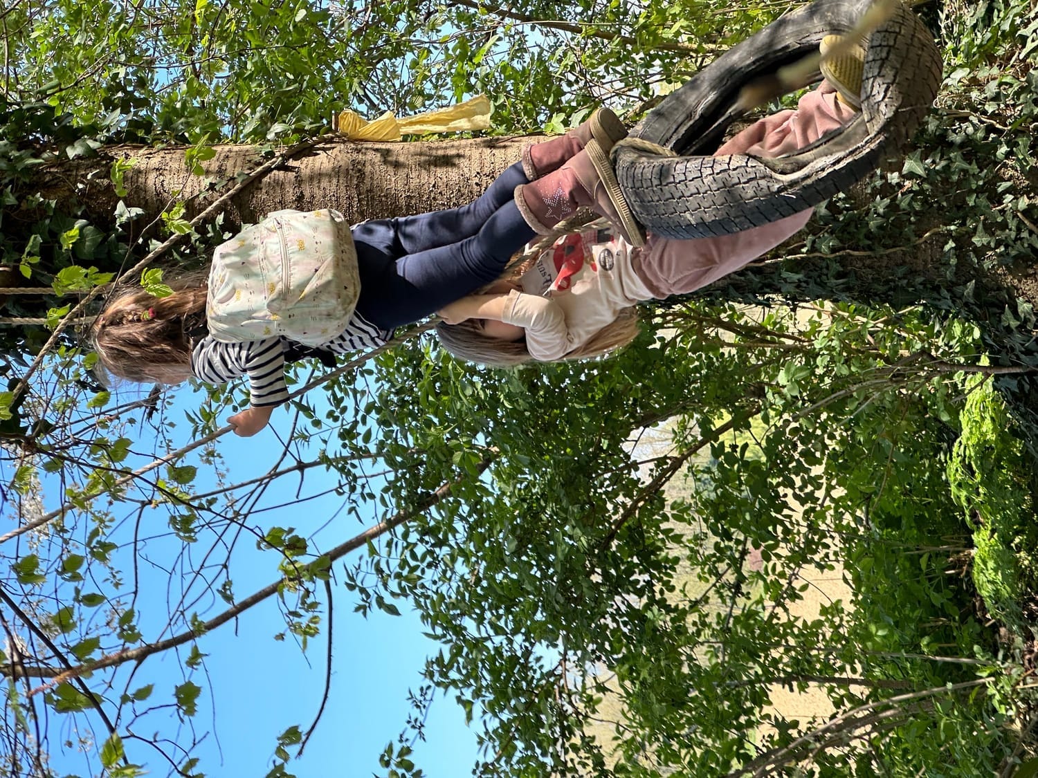 Balançoire en pneu le long du chemin de la forêt