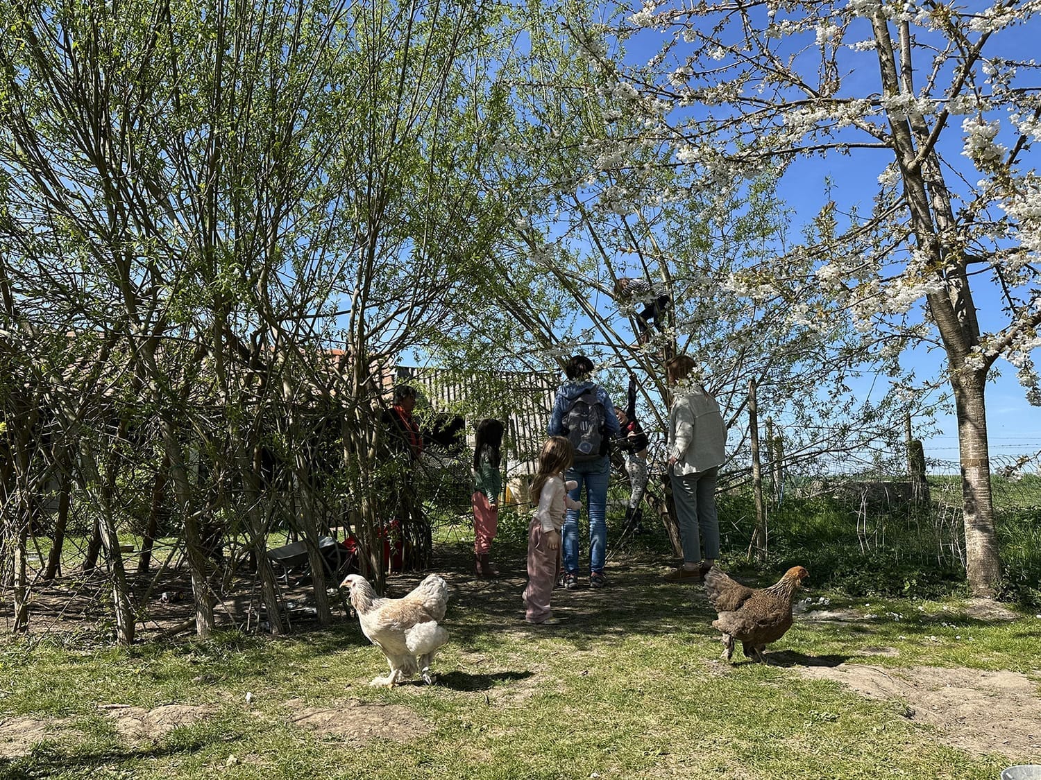 Les parents arrivent à 15h30 au Petit Abri pour récupérer les enfants