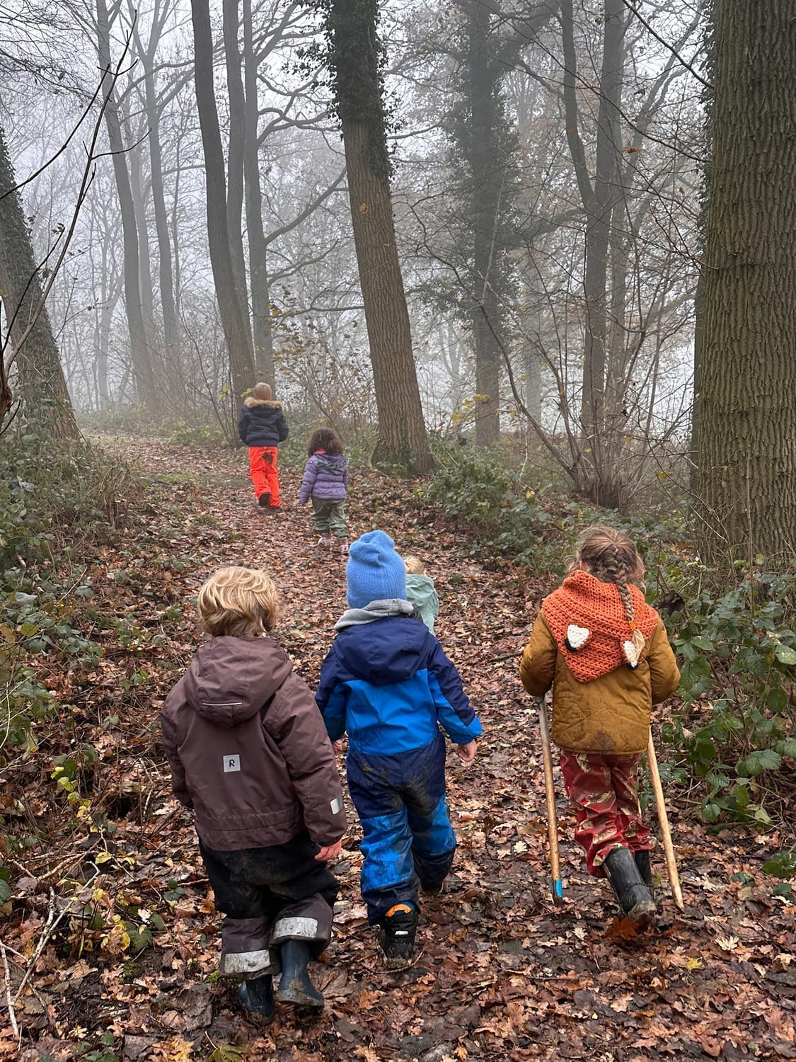 Enfants du Petit Abri en promenade quotidienne dans la forêt