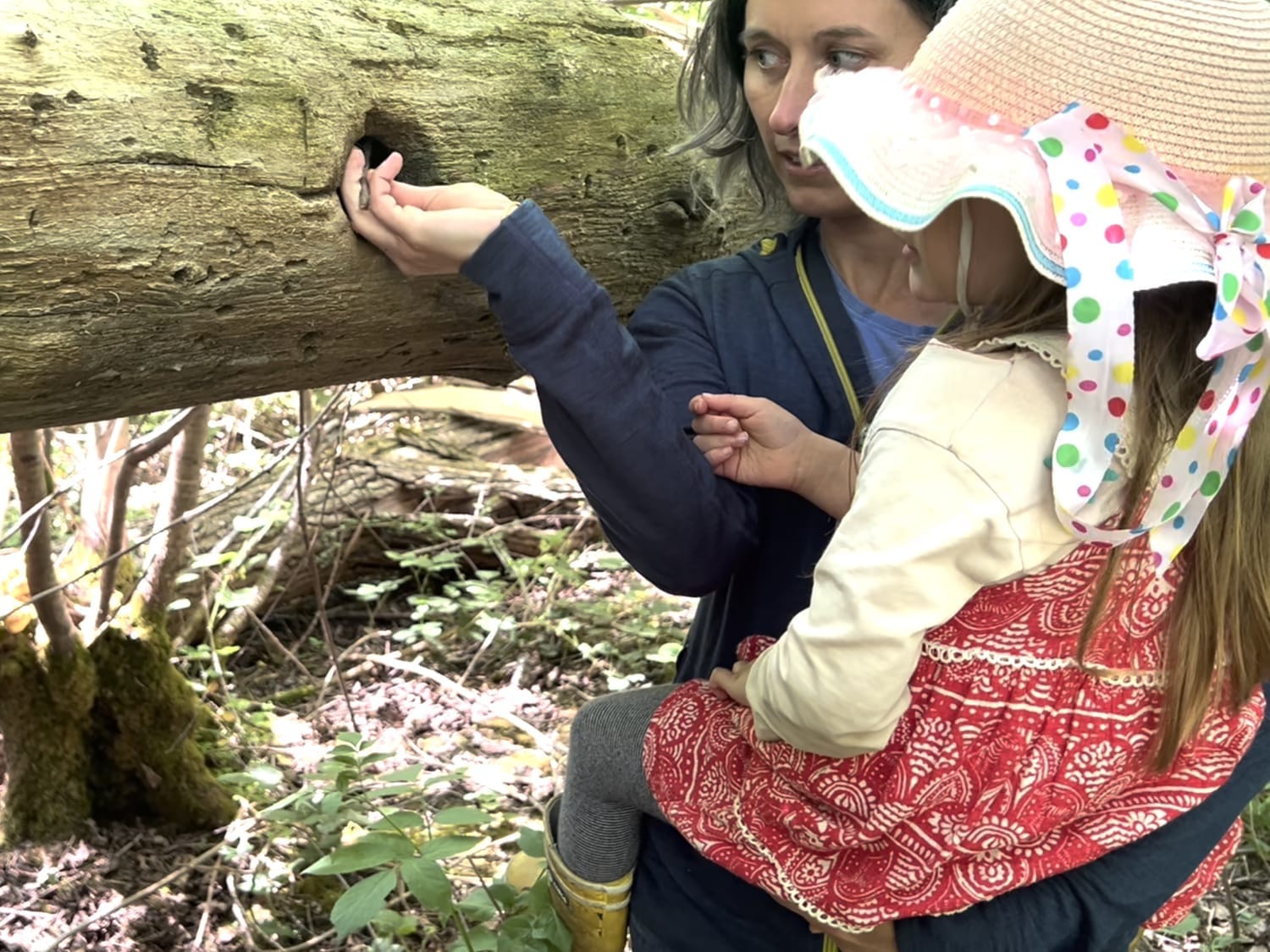 Enfant mesurant la profondeur du nid de pic avec une branche