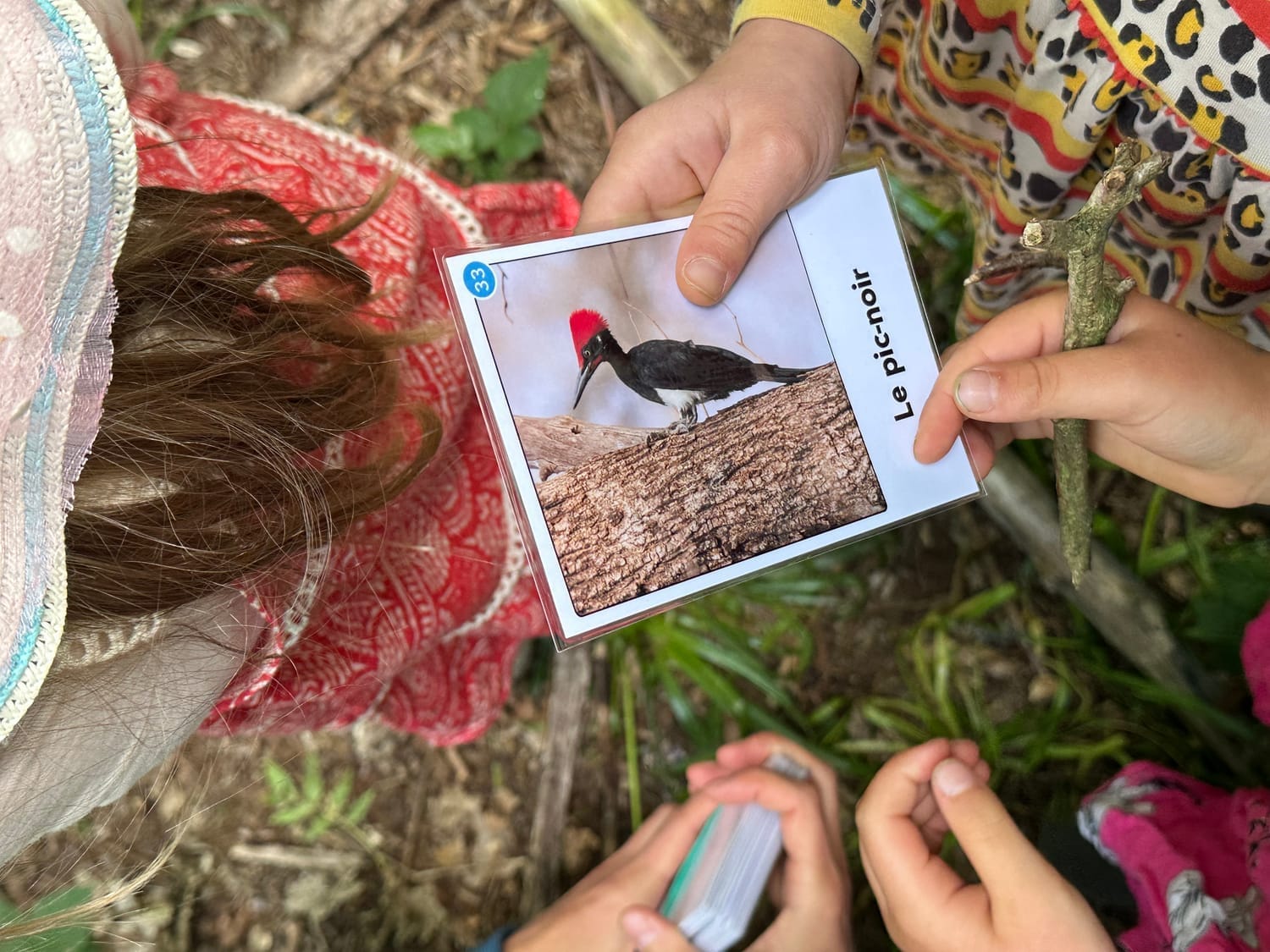 Maquette de la carte devinette du Pic noir