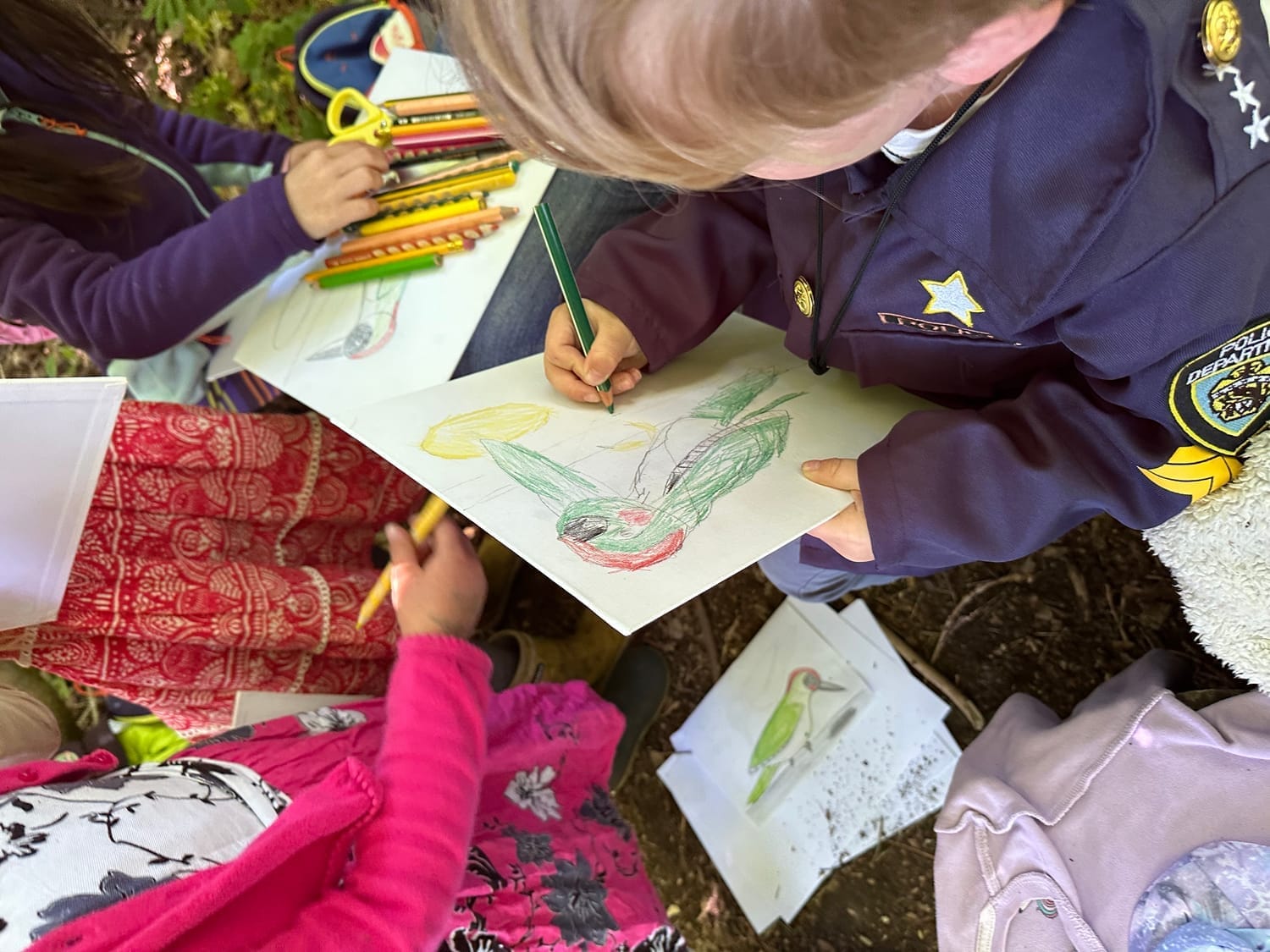 Le pic vert dessiné par Honoré sur sa toile
