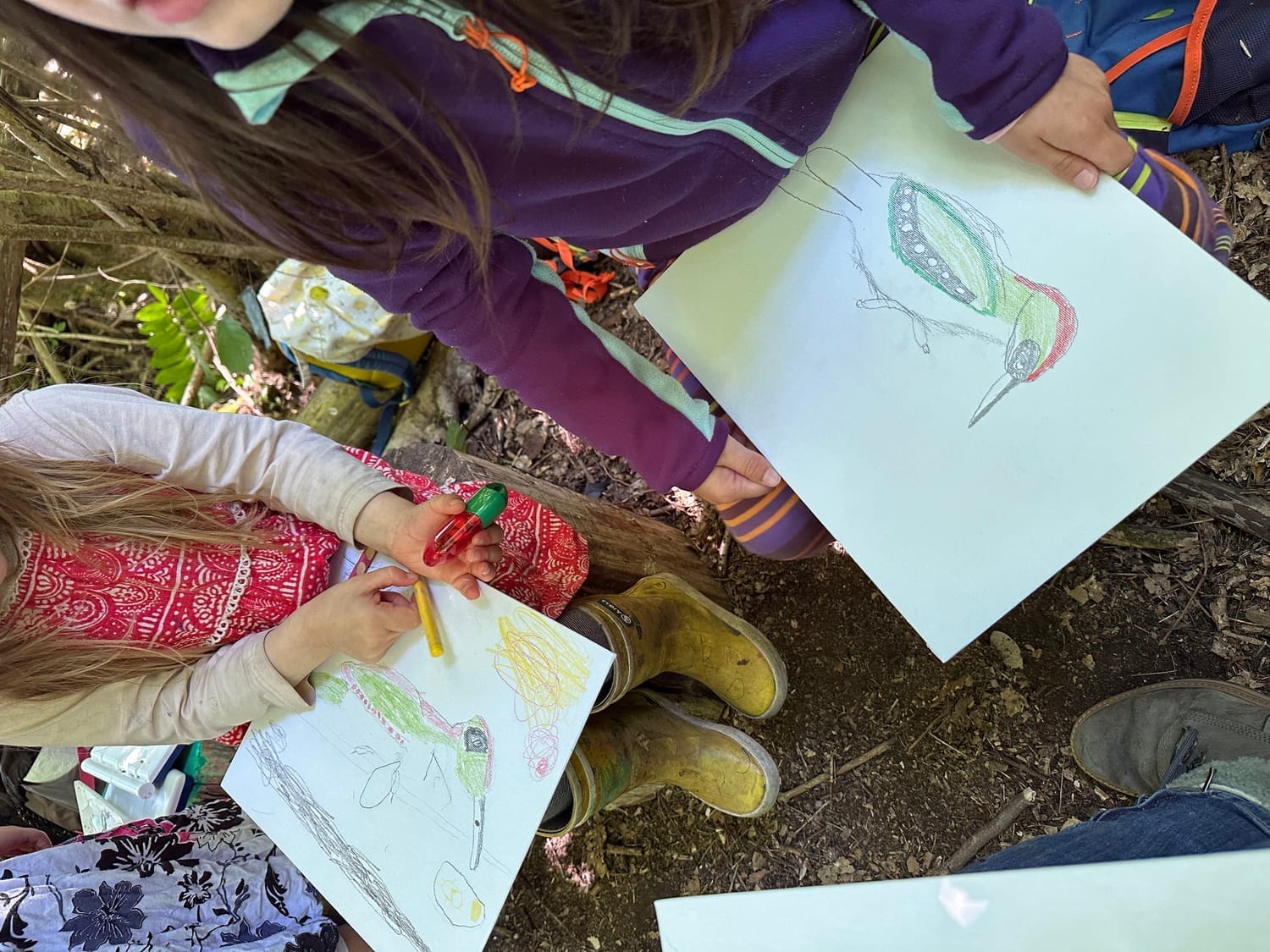Les pics verts de Vega et Alice côte à côte