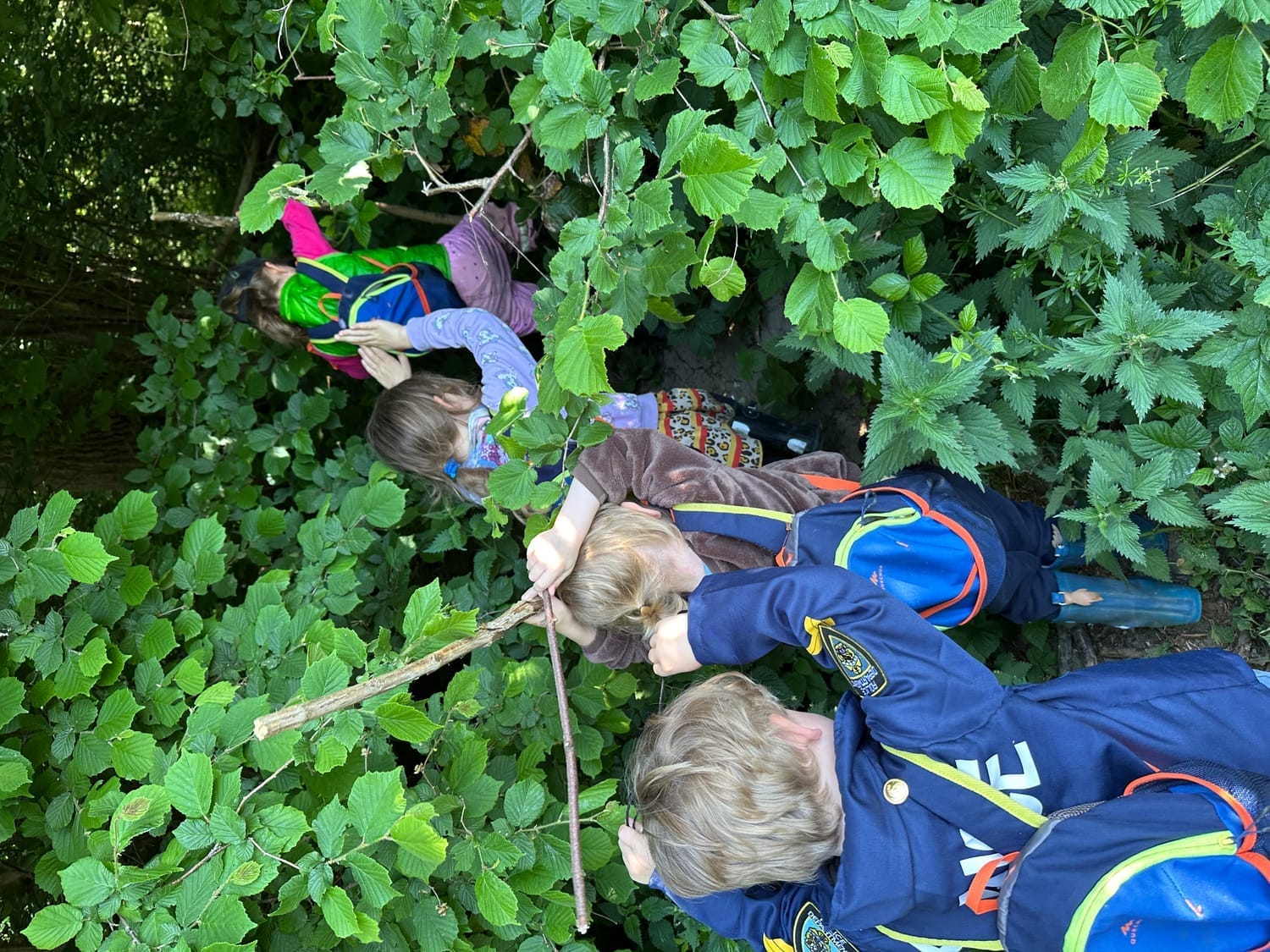 Les enfants en file indienne, bras levés pour éviter les orties, entrent dans la forêt