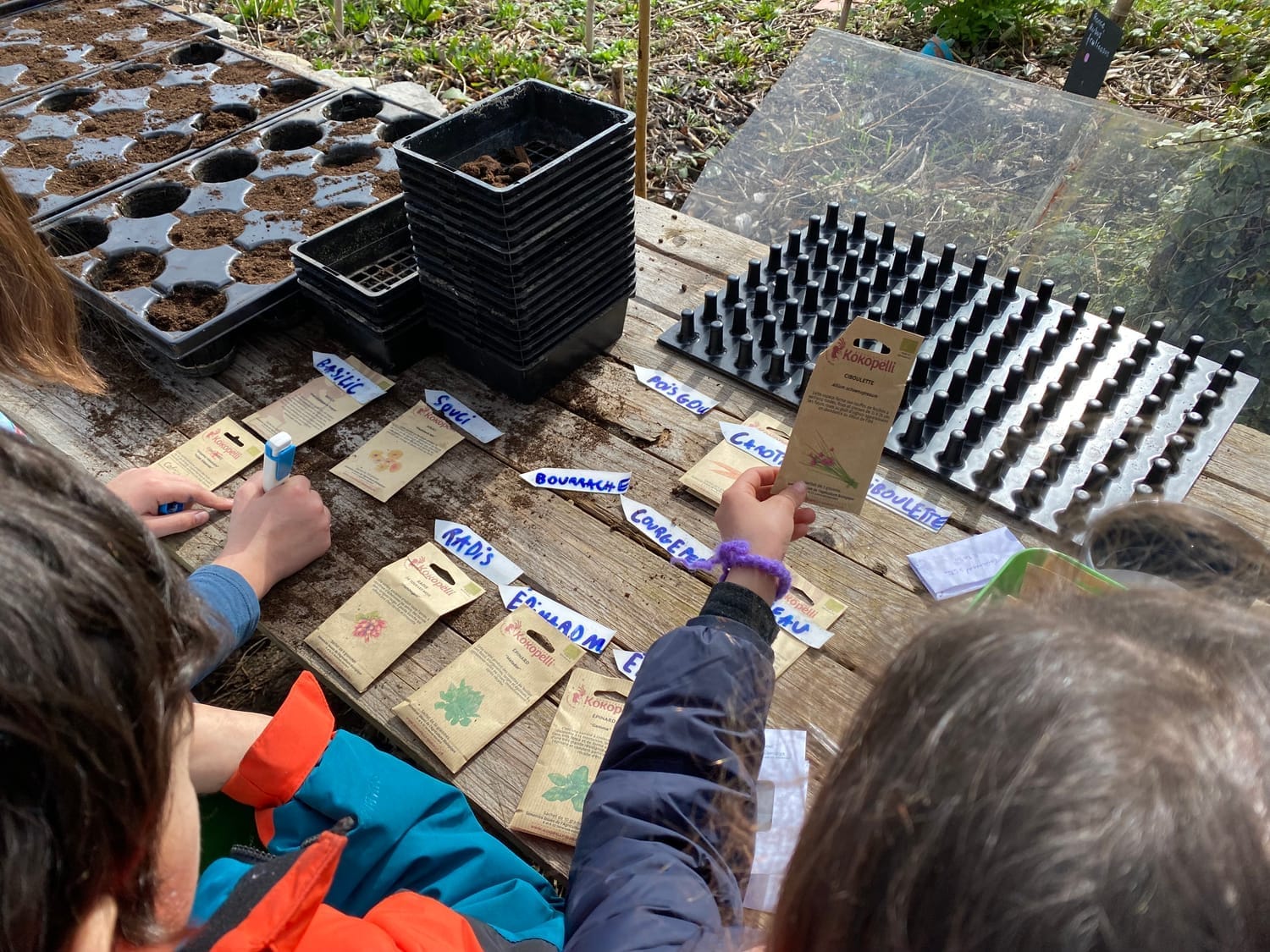 Création d'une étiquette pour identifier chaque semis