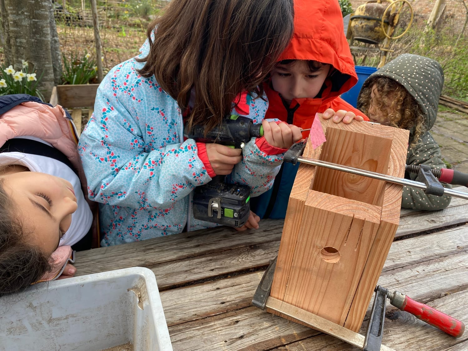 Enfant vissant les pièces de bois du nichoir