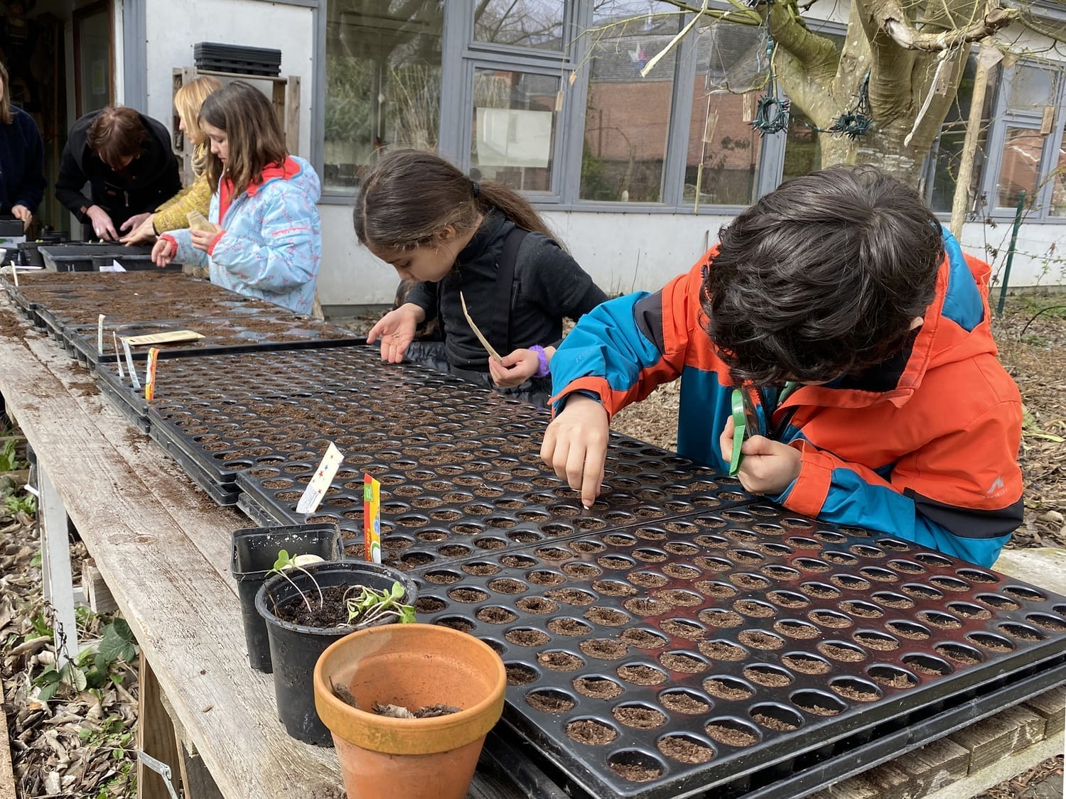 Semis réalisés par les enfants dans des petits pots