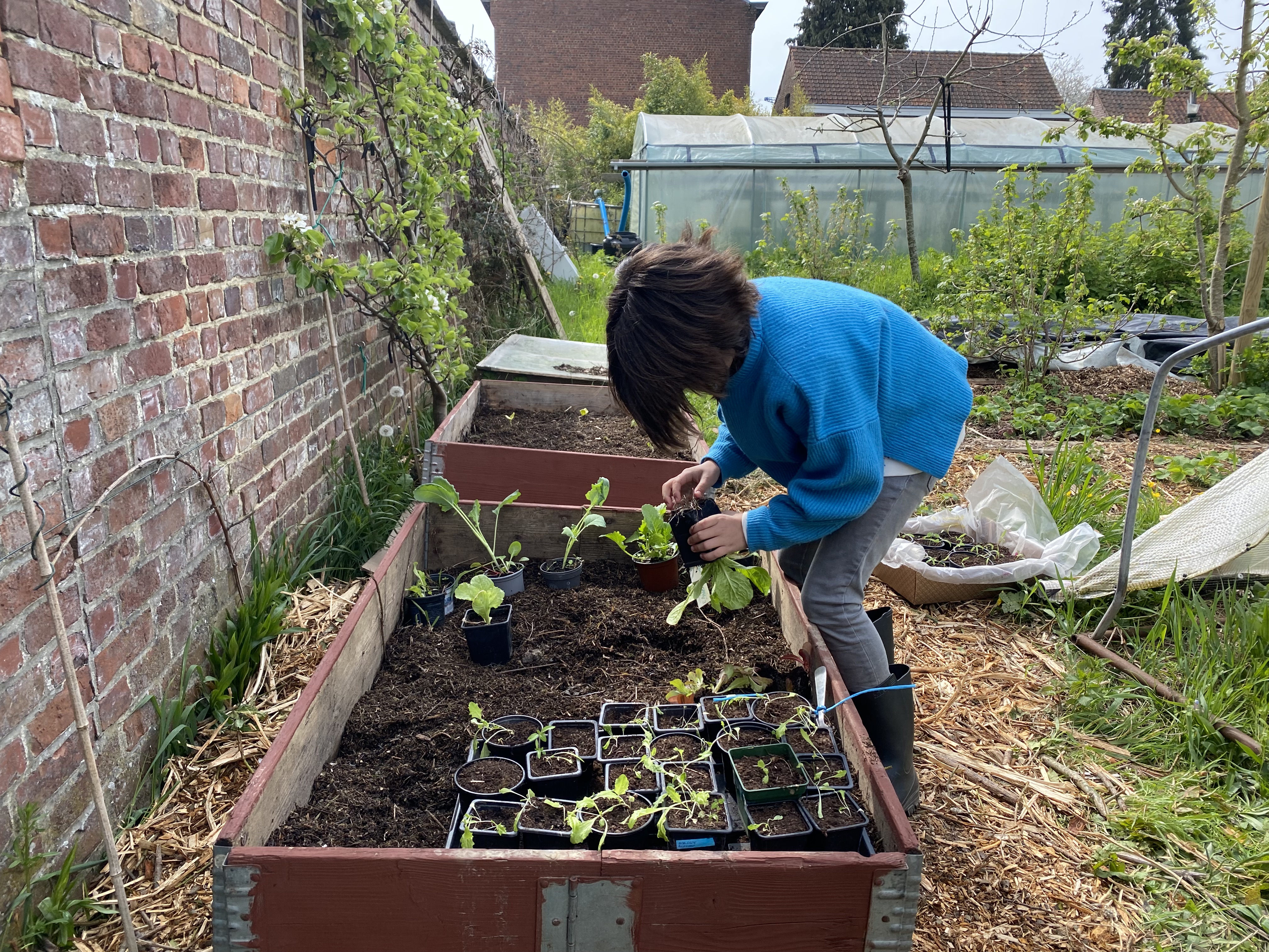 Enfant plantant des semis au potager pour découvrir la nature cultivée