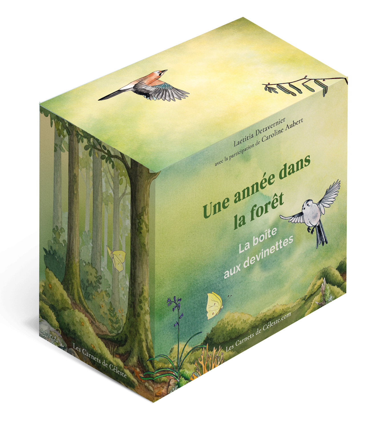 Boîte aux Devinettes — Une Année dans la Forêt