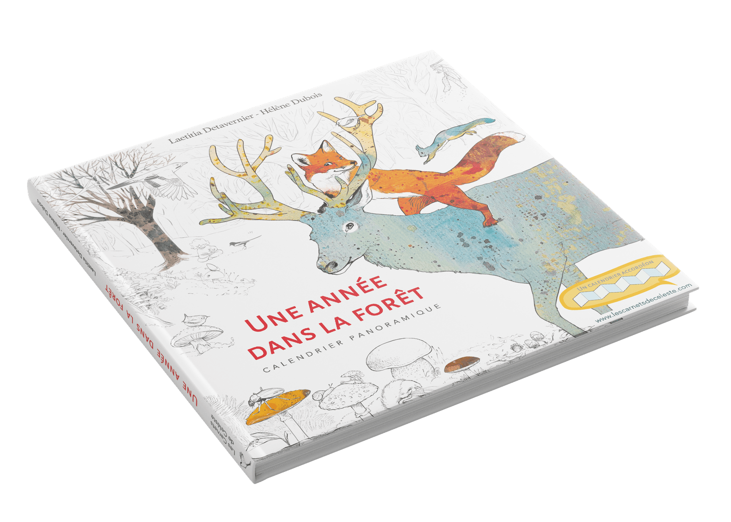 Calendrier Panoramique — Une Année dans la Forêt