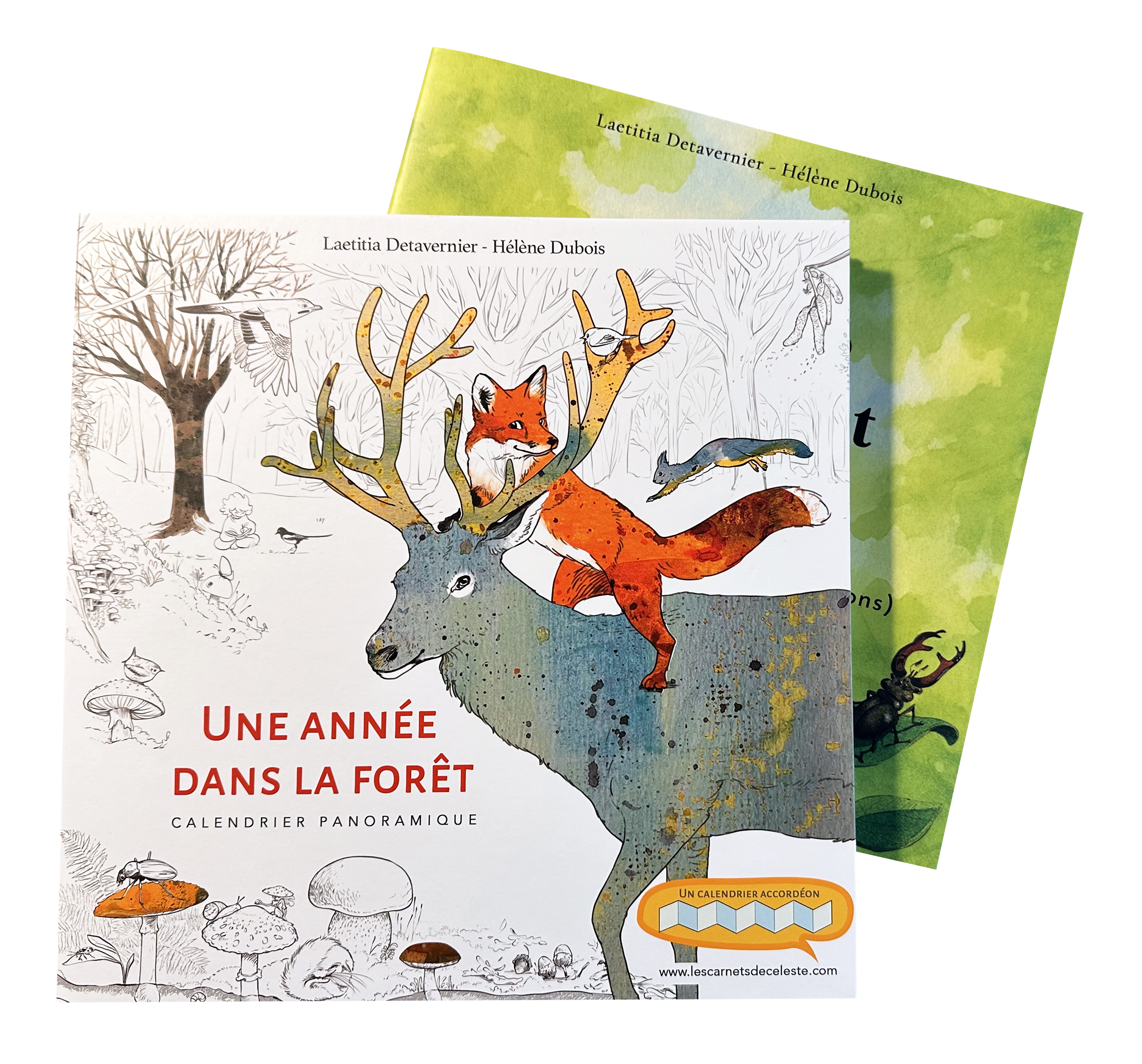 Calendrier Panoramique + Guide — Une Année dans la Forêt