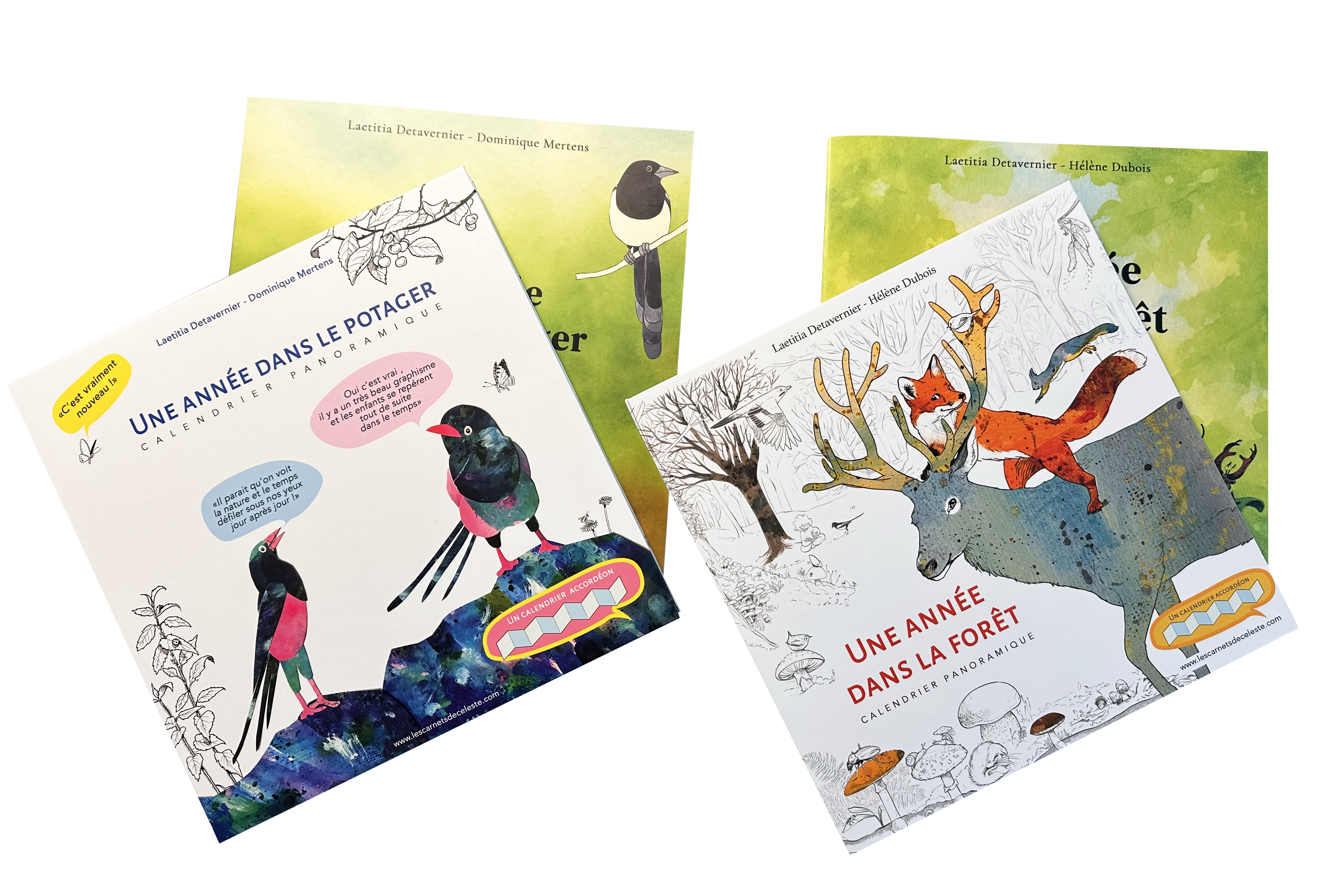 Calendriers Panoramiques Forêt et Potager + leurs guides d'identification