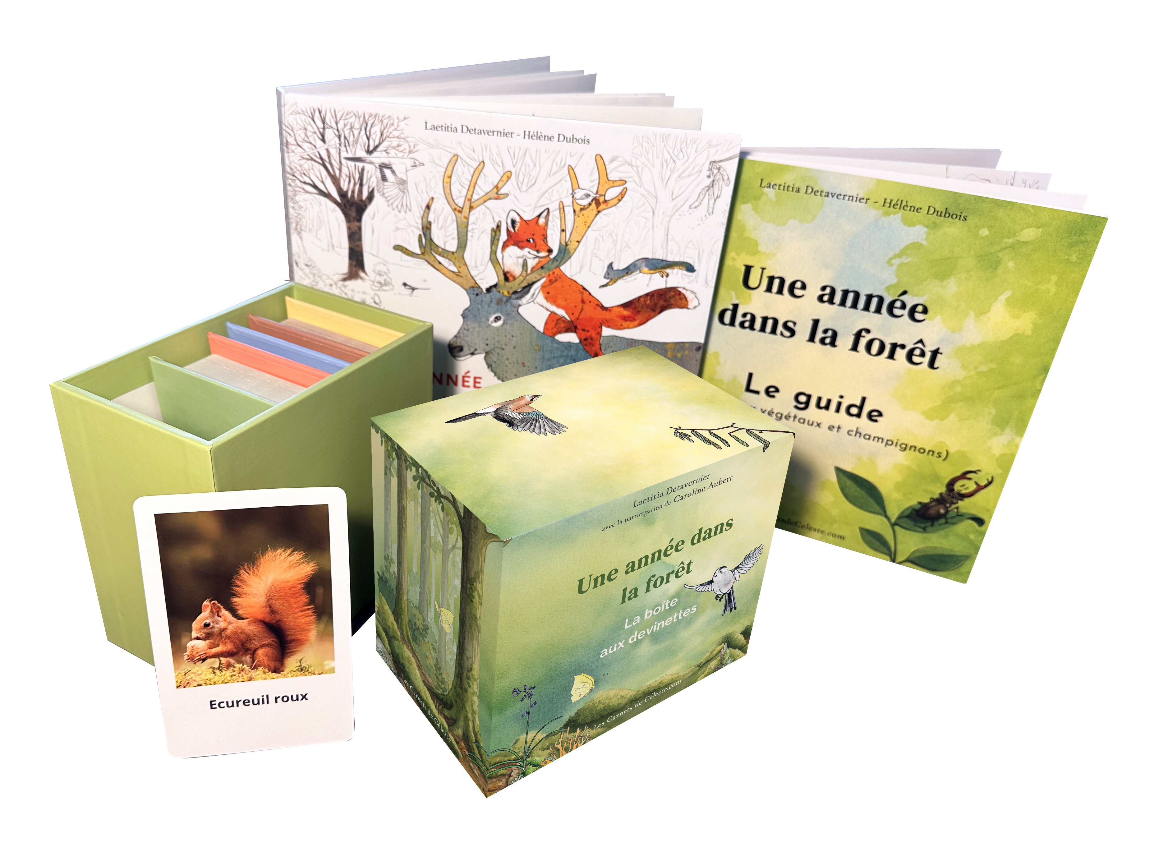 Calendrier + Devinettes — Une Année dans la Forêt