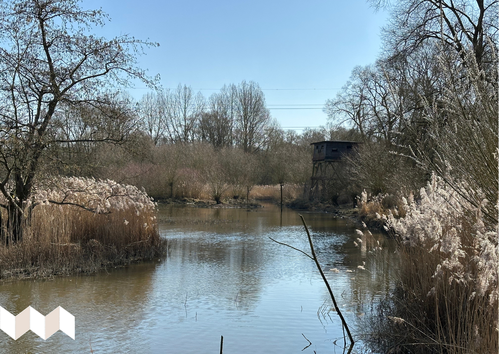 3 applis gratuites pour les balades nature