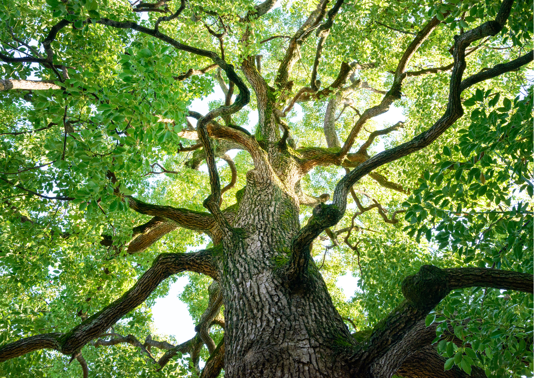 Quelque chose de grand arrive