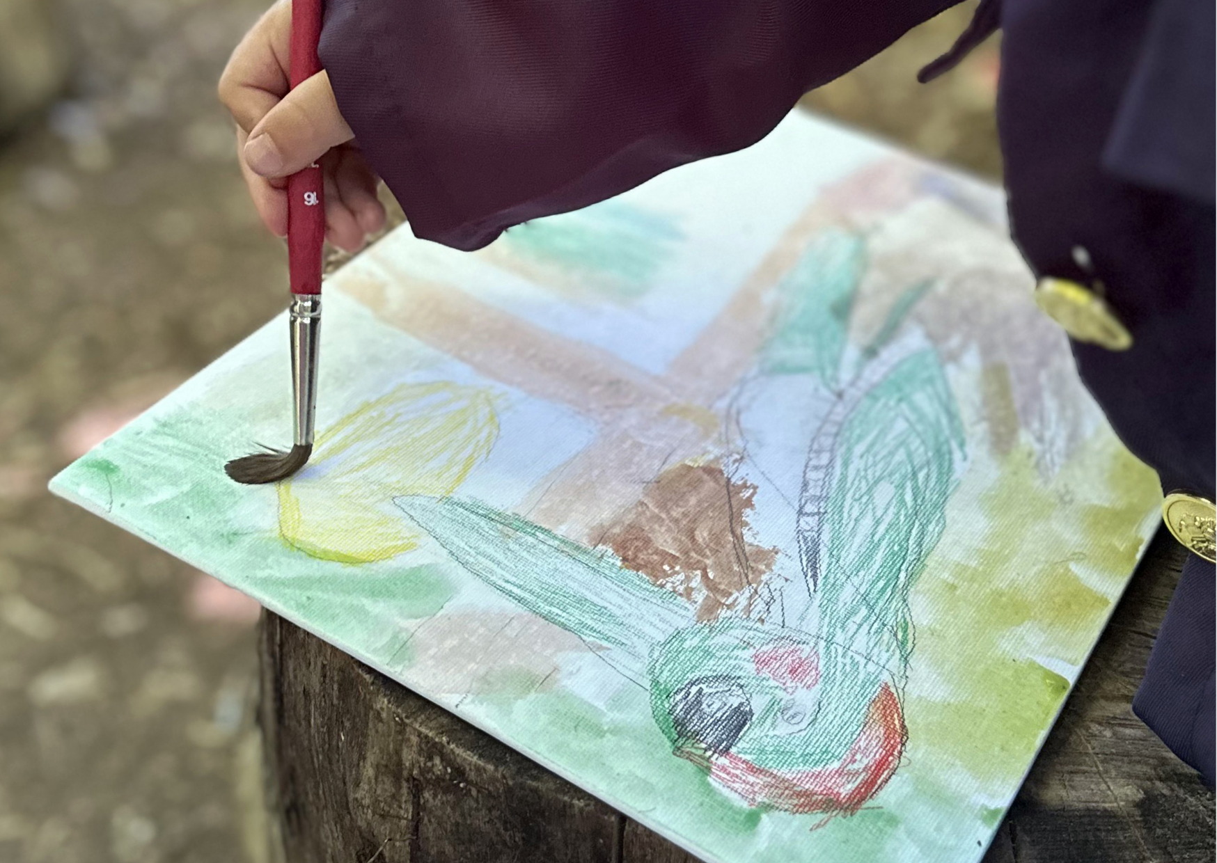 L'histoire de Robert le Pic vert