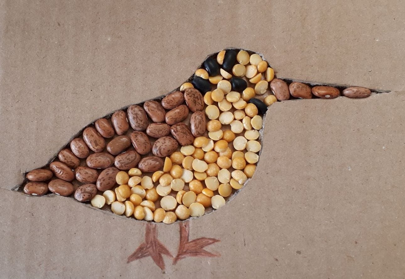 Dessin de bécasse par les enfants de Danielle