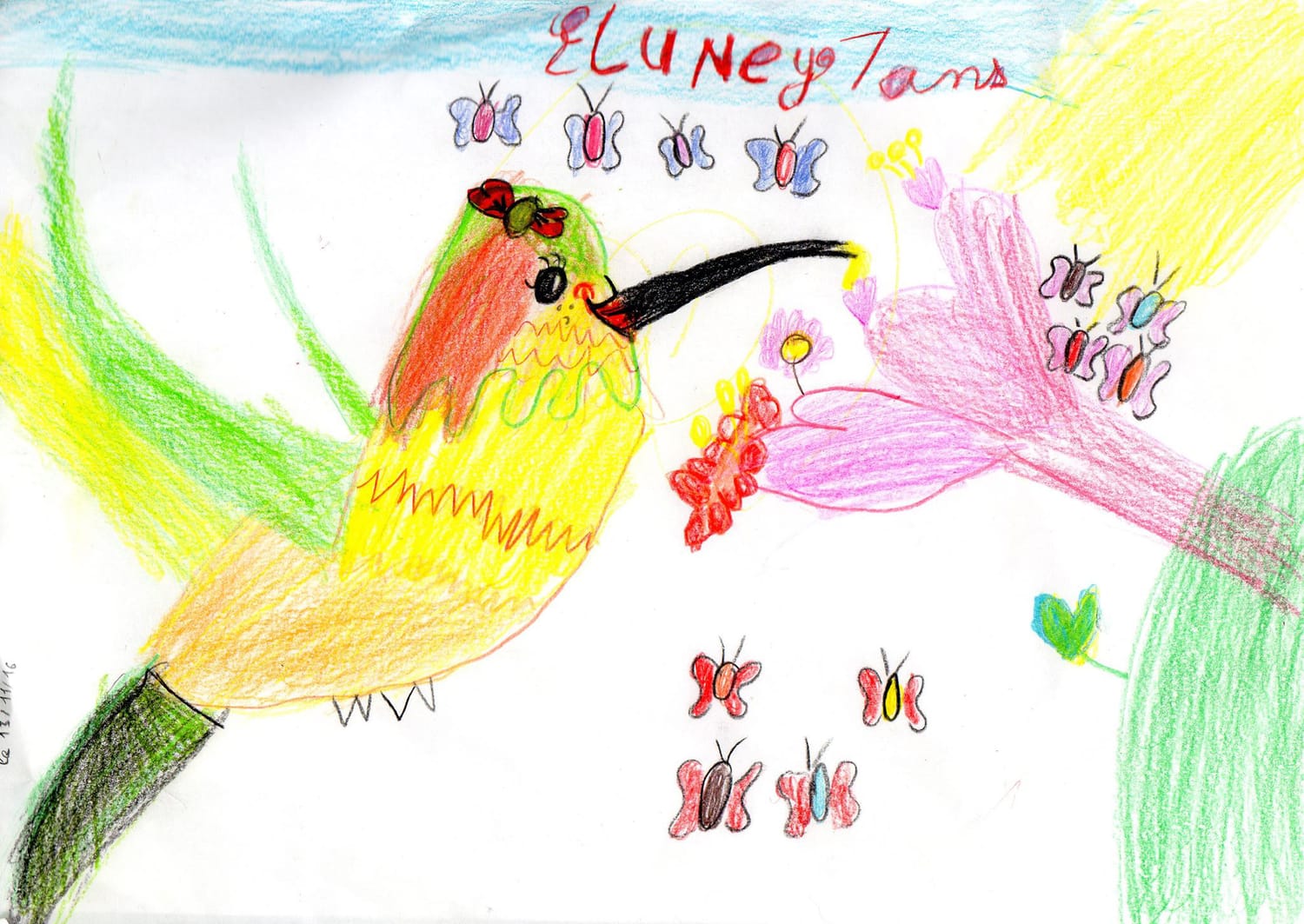 Dessin de colibri par Eluney