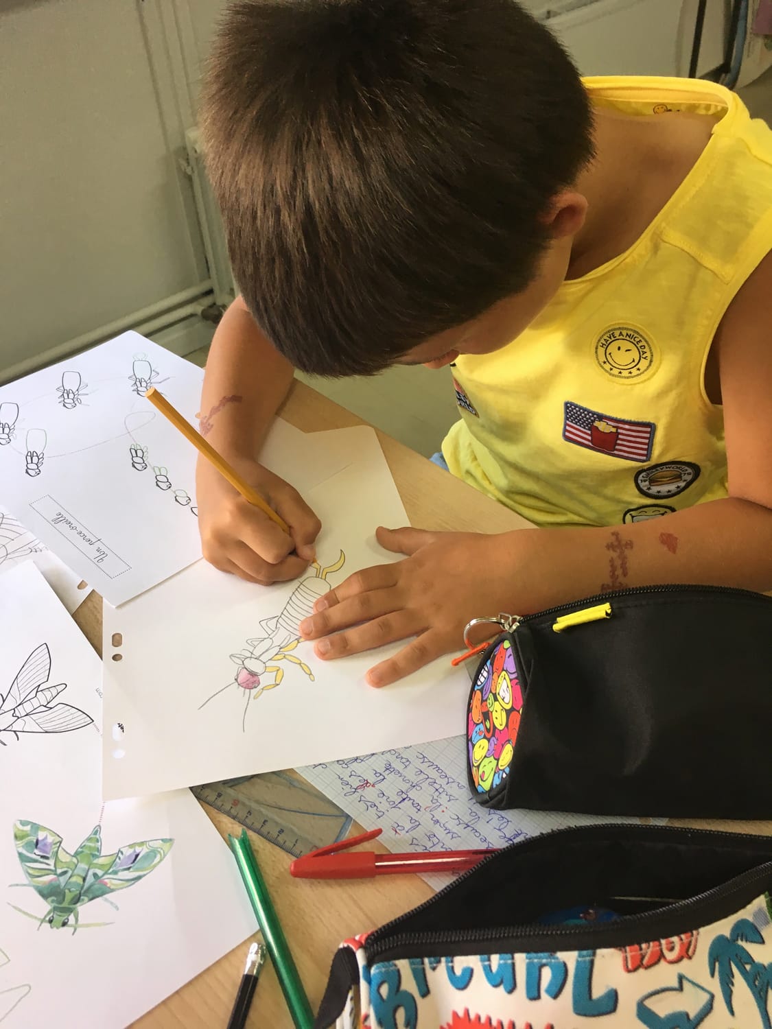 Dessins de perce-oreille école de Hesdin