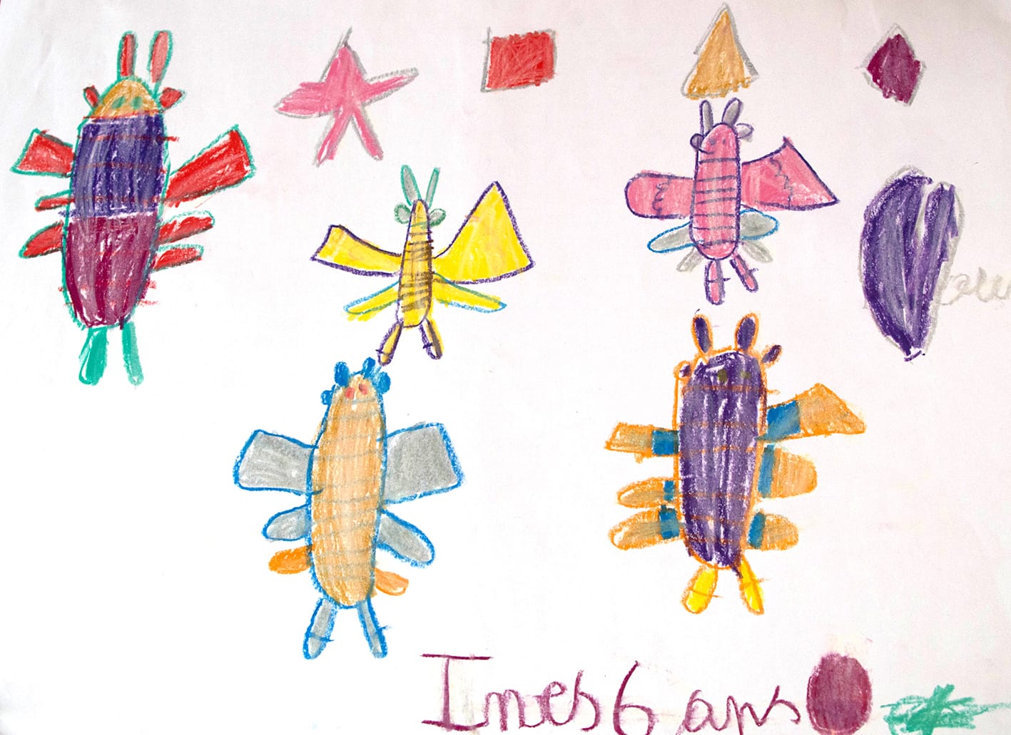 Dessin d'insectes par Inès
