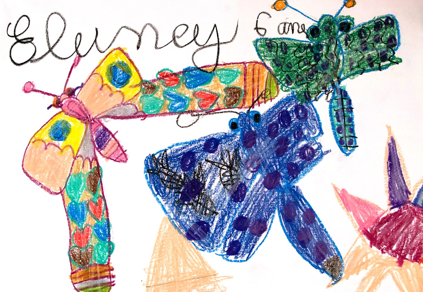 Dessin de papillons par Eluney