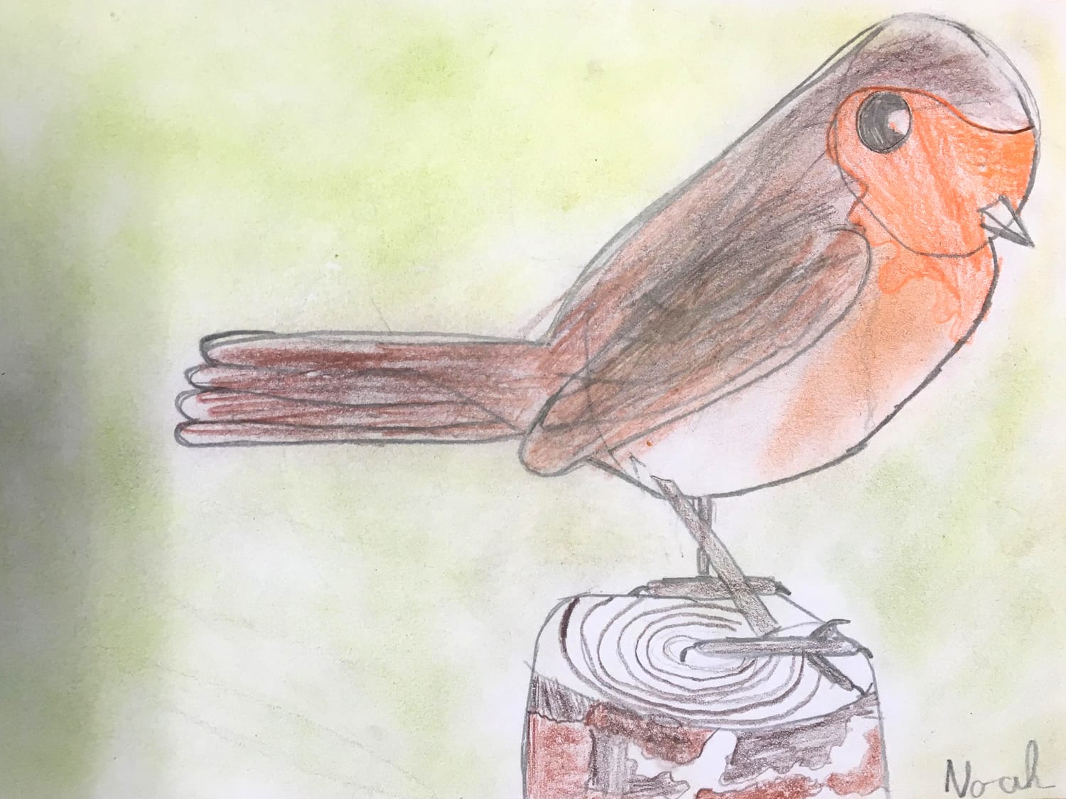 Dessin de rouge-gorge par Noah